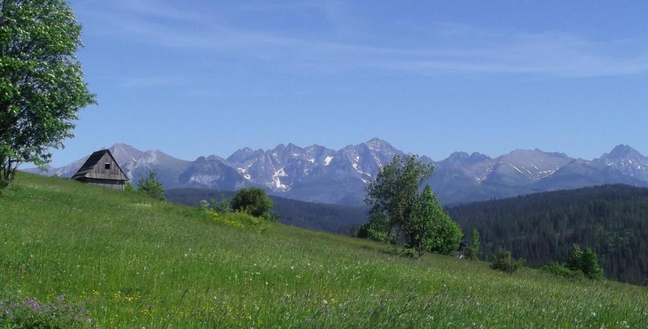 Willa Na Olczanskim Wierchu Bukowina Tatrzańska Exterior foto
